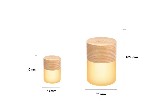 Gingko Design Lemelia Light Touch Control 7-Color Changing Mood Light -Large- White Ash