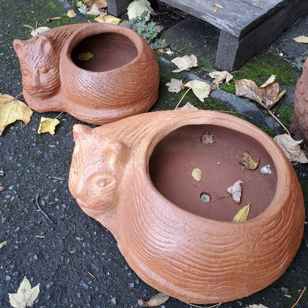 Medium and Large Cat Planters