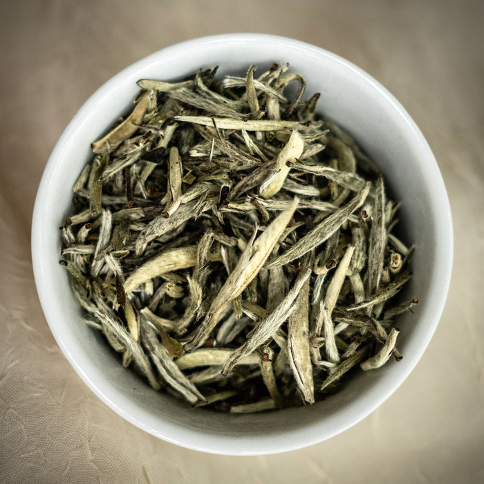 White Silver Needle