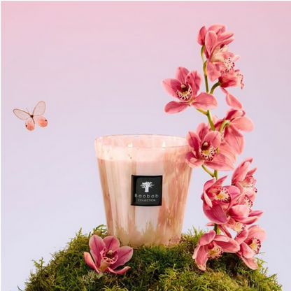 Baobab Collection Scented Candle White Pearls – Orchid Freesia Musk Floral Scent (Max 16)