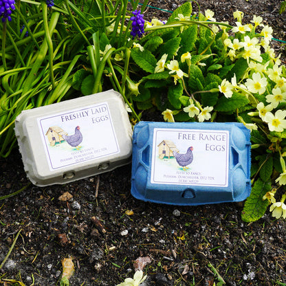 Coloured Egg Box Labels - Henhouse & Hen