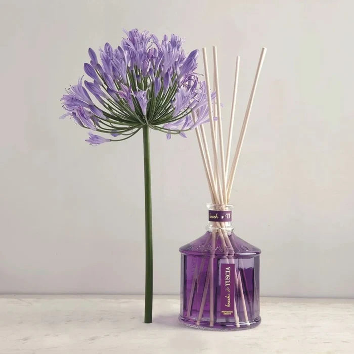 Erbario Toscano Bacche di Tuscia (Tuscia Berries) Fruity Spiced Home Fragrance Diffuser 100mlml