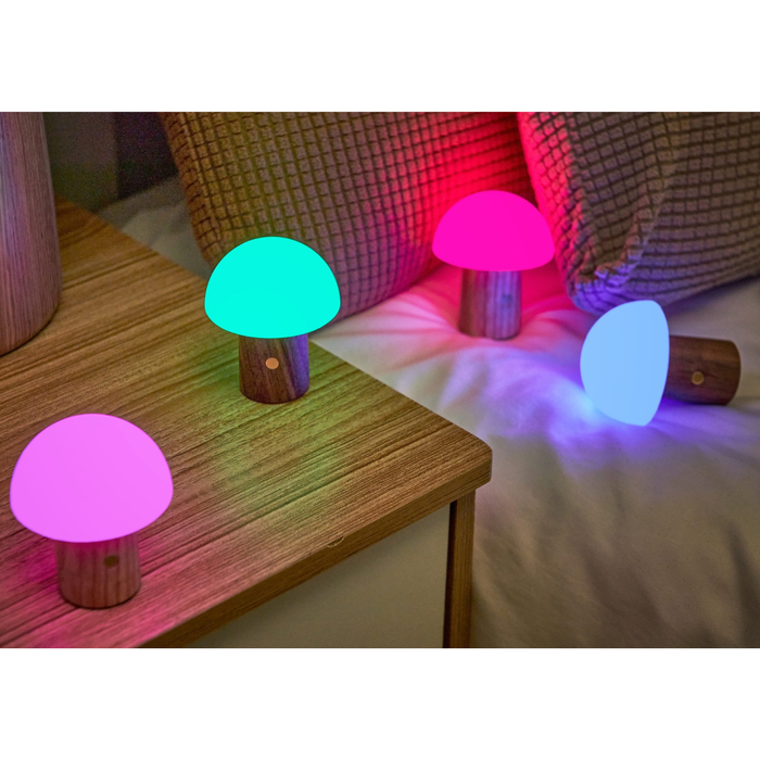 Gingko Design Alice Mushroom Lamp 7 RGB Color Switching - Super Mini - White Ash