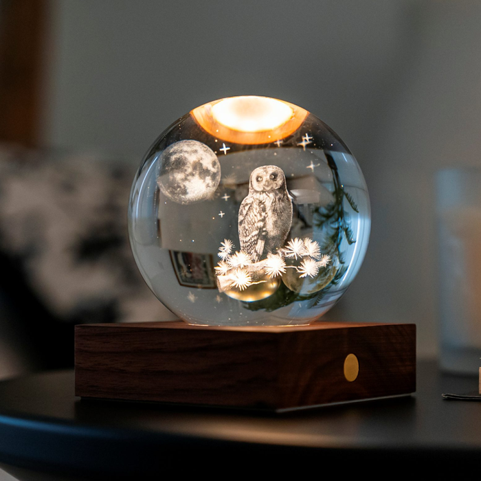 Gingko Design Amber Crystal Light 3D Laser-Engraved - The Owl Moon