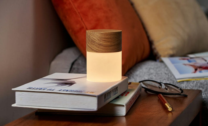 Gingko Design Lemelia Light Touch Control 7-Color Changing Mood Light -Large- White Ash