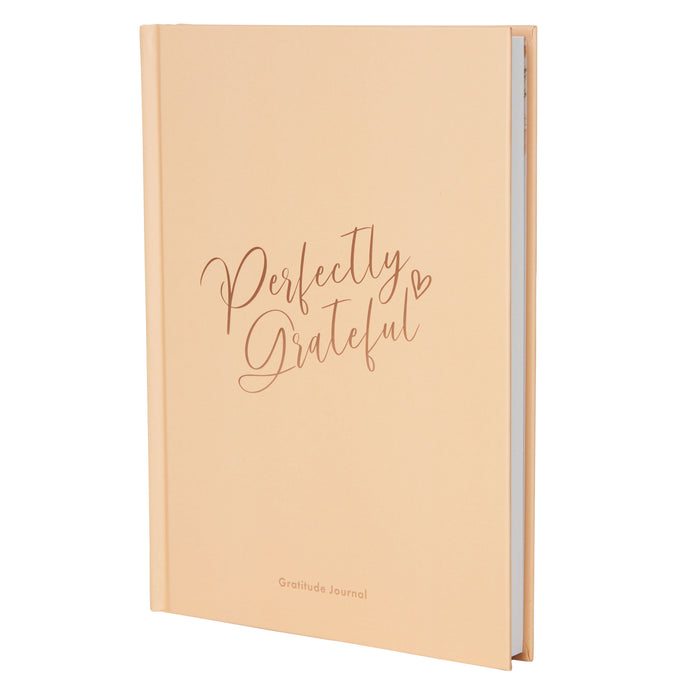 Gratitude Book - Peach Blush image 0