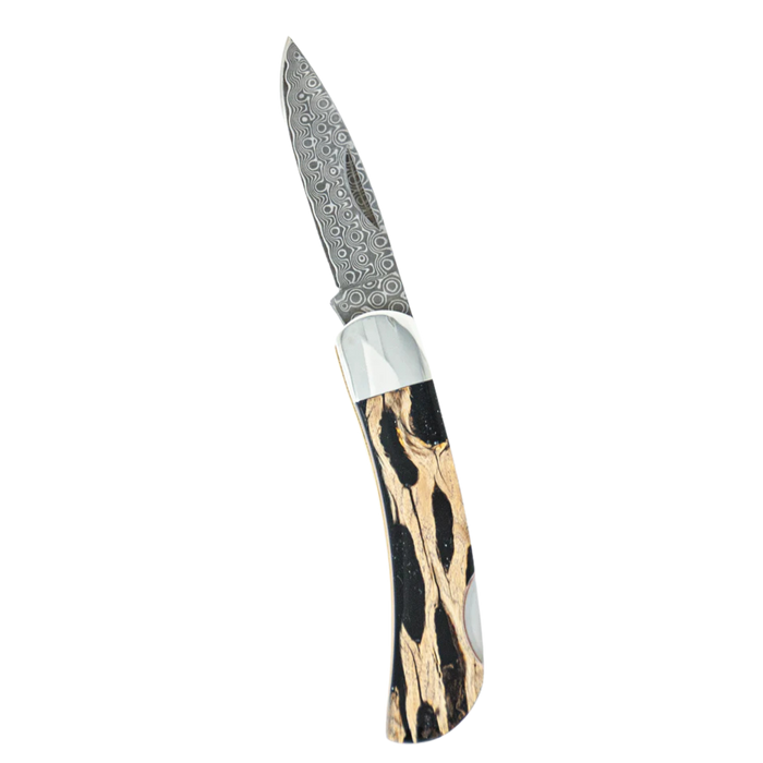 Santa Fe Stoneworks Natural Stabilized Cholla Cactus - Damascus 3 Lockback with 2 1/4 blade
