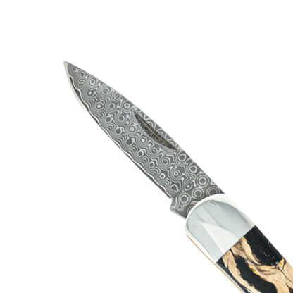 Santa Fe Stoneworks Natural Stabilized Cholla Cactus - Damascus 3 Lockback with 2 1/4 blade