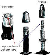 Schwalbe - Tubes