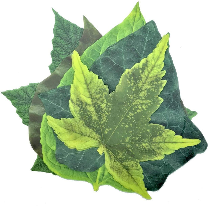 Sisson Distributions Harvest Imports 20 Pack Parchment Spring Leaves