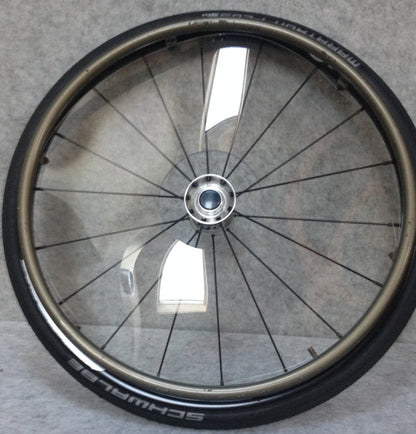 Spoke Guards