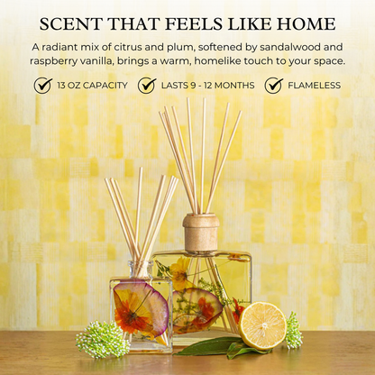 Sugared Citrus Signature Botanical Reed Diffuser, Single Piece