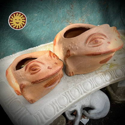Terra Cotta Frog Planters