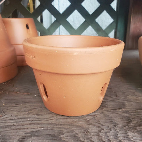 Italian Terra Cotta Orchid Planter