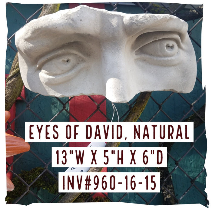 Eyes of David Concrete Wall Decoration
