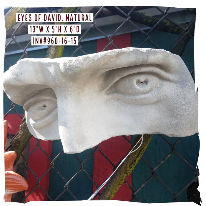 Concrete Eyes of David Wall Hanging